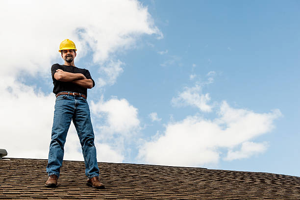 Roof Gutter Cleaning in Varnville, SC