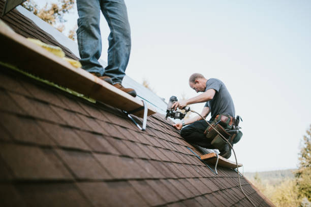 Residential Roof Replacement in Varnville, SC